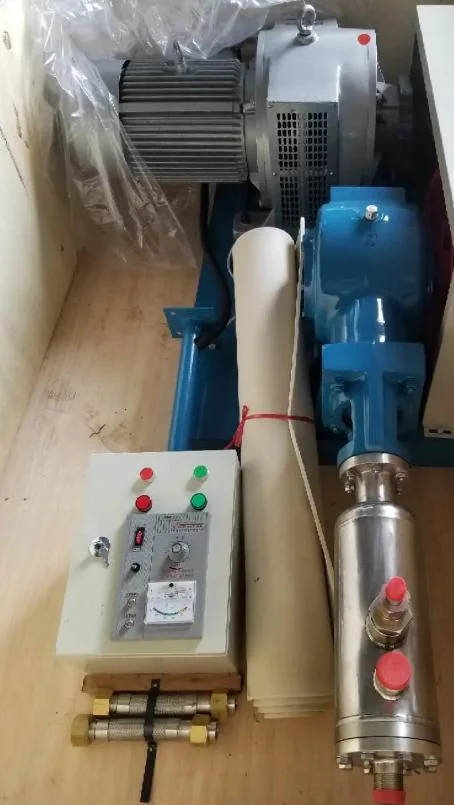 200-600L/H Horizontal Cryogenic Liquid Oxygen Argon Nitrogen LNG Pump