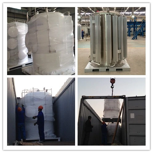 20FT/40FT Cryogenic ISO Storage Tank Container Food Grade